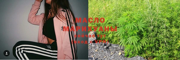 2c-b Бородино
