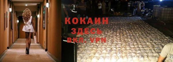2c-b Бородино