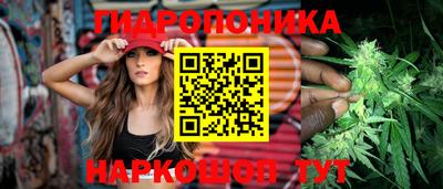 крисы Гусь-Хрустальный