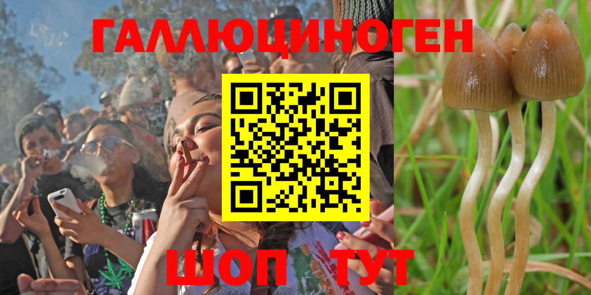 Домодедово  Галлюциногенные грибы Magic Shrooms  Галлюциногенные грибы мухоморы  купить   Вход с VPN 
